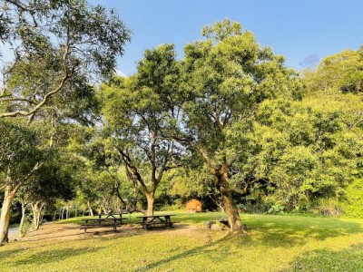 陽光草坪上有全台最大的獨居蜂旅館