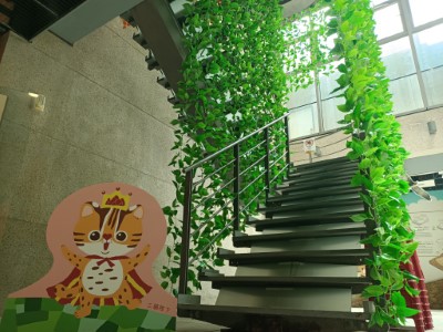 「火炎山的石虎王國」主題展覽－穿過森林通道，進入石虎王國吧！