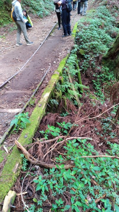 特富野古道路堤下陷情形