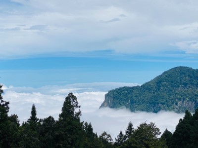 歡迎遊客於配合落實防疫措施下，至阿里山國家森林遊樂區享受自然風景（遠眺塔山雲海）