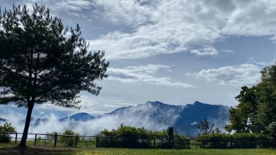 阿里山國家森林遊樂區持續落實防疫措施，提供遊客安心戶外旅遊環境（對高岳觀景台）
