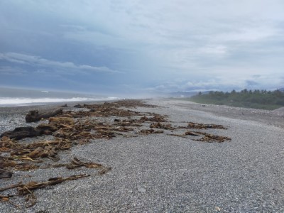 太平溪口附近漂流木