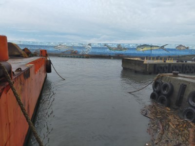 富岡漁港漂流木