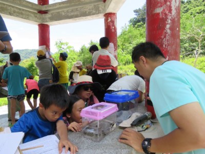 認識觀察箱內魚、蝦、水生昆蟲等各種溪流生物。