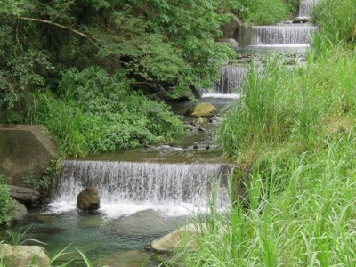 踏入紅葉溪，感受溪流的生命力。