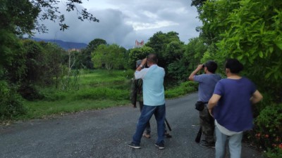 監控埃及聖䴉動向