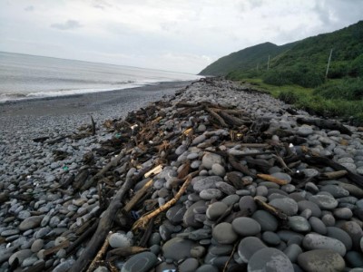 大武地區保安林漂流木