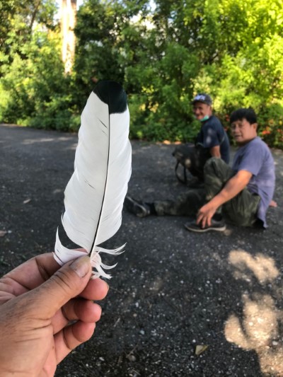 第一隻可能殘骸(羽毛)