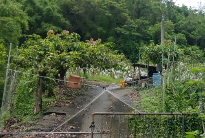 私人果園為防猴而架設傳統圍網