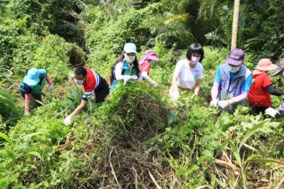 小花蔓澤蘭防治宣導活動-共同除蔓(新竹林區管理處提供)