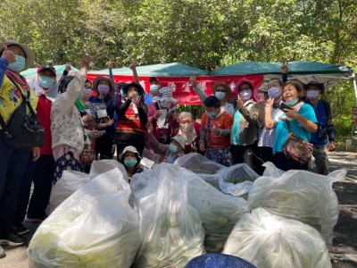 2小時清除近200公斤小花蔓澤蘭