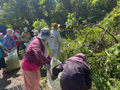 小花蔓澤蘭防除及宣導活動，參與踴躍。