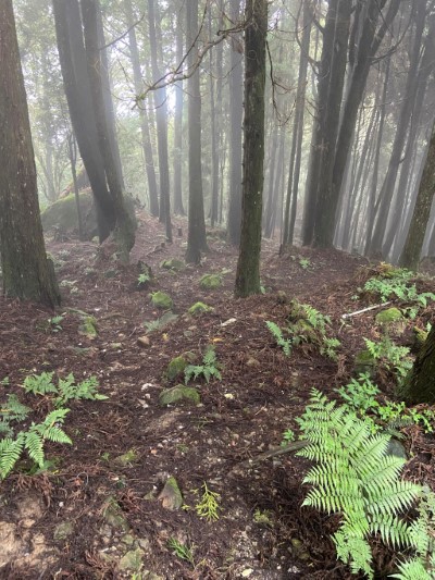 在眾人的努力下，終於還給山林環境一小片乾淨