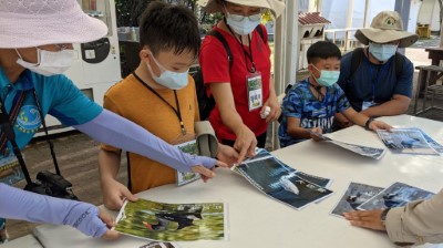 一邊玩生物圖鑑配對遊戲，一邊聽解說員介紹生物特徵，學習常見生物辨識。