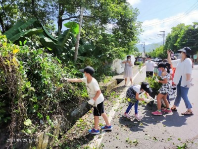 大興國小師生及民眾現場一同拔除小花蔓澤蘭