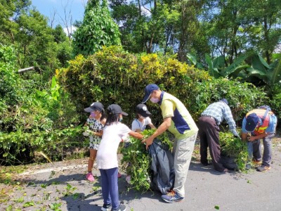 大興國小師生及民眾現場拔除小花蔓澤蘭
