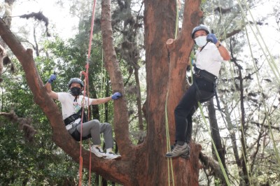 林務局副局長廖一光及舒潔大使溫昇豪成功攀上樹，用不同視角欣賞保安林