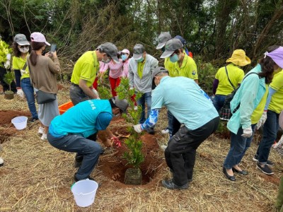 民眾共同共同種植蘭嶼羅漢松