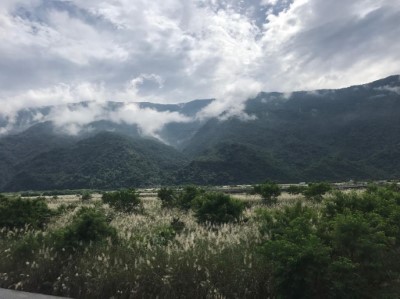 每逢秋冬之際，荖濃溪畔菅芒花開，雪白的景色渲染整條溪野，即是六龜好集市開張的訊號。