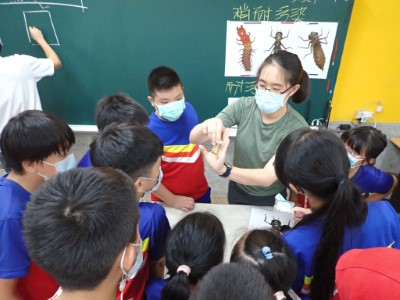 好奇的觀察水生昆蟲標本