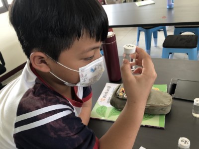 細心觀察水生昆蟲的構造