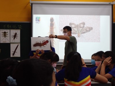 認識水生昆蟲的稚蟲和成蟲