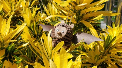 利用毬果製作蝙蝠小精靈，讓民眾將萬聖節氣氛帶回家