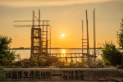 原生社造獎-滿載夕陽八色蕉