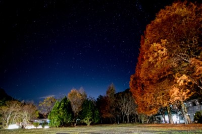 奧萬大國家森林遊樂區點點星空(林務局提供)