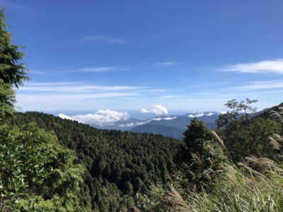 太平山國家森林遊樂區一景