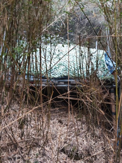天池廚房破壞林地搭帳棚