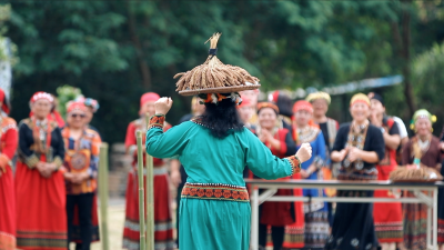 尋找達魯瑪克-小米收穫祭