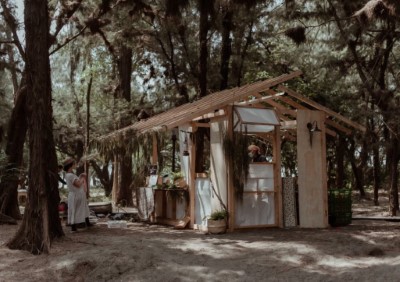 被森林環繞，最有森林感的森林市集就在秋日阿里山