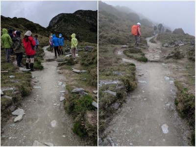 步道6K舖面整理施工前後對照