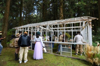 最有森林感的森林市集一連三天在阿里山國家森林遊樂區舉辦