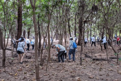 企業員工及眷屬齊心整理保安林環境