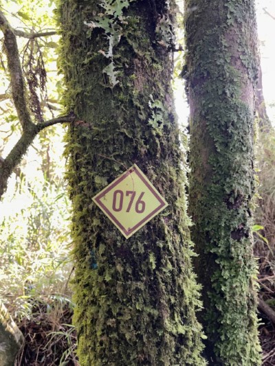 溪阿緃走及塔山等2條熱門登山路線沿線每100公尺皆設有黃色鋁製山徑路標