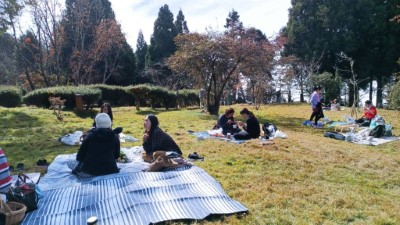 怡人的天氣、舒適的森林環境，再加上美食，與好友們席地而坐聊聊天是最棒的假日時光