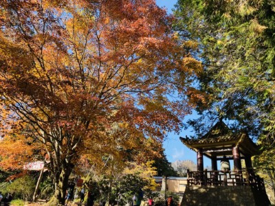 野餐後民眾還可至園區內觀賞其他景點