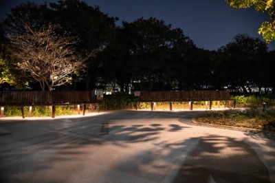 流線型座椅設計及夜間照明景觀