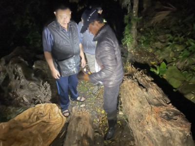 查獲非法撿拾漂流木