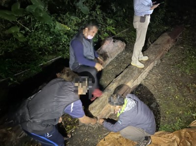 查獲非法撿拾漂流木