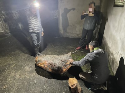 查獲非法撿拾漂流木