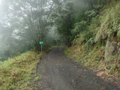 美瓏山（小關山）林道04