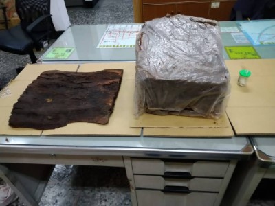 竊取牛樟木