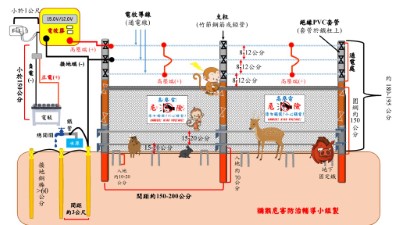 電網架設圖