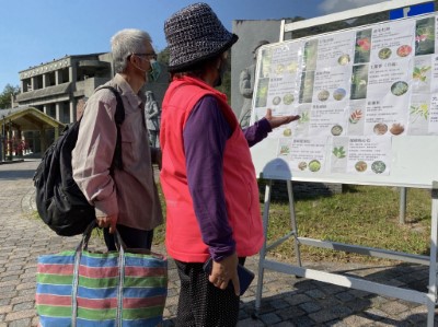 贈送苗木介紹看板