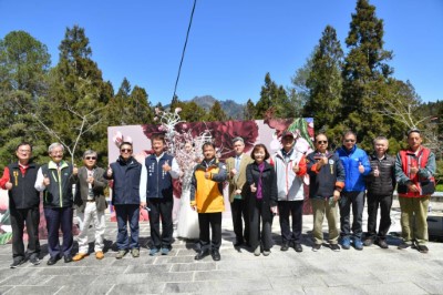 2022阿里山花季「櫻與音的對話」於10日於阿里山國家森林遊樂區沼平公園開幕