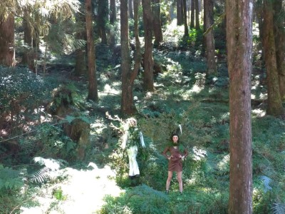 林間花藝走秀展現專屬於阿里山的森林時尚美