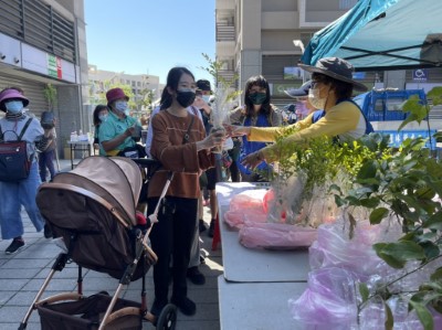 新城工作站贈苗活動